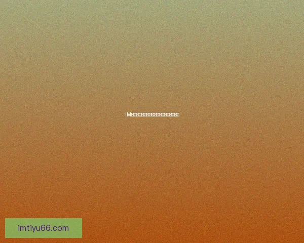 IM体育最新官方网站地址查询及访问方法分享